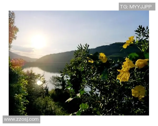 《聚焦CCTV5天下足球球星：走近世界顶级球员的赛场与生活》