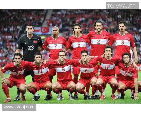 加拿大足球历史最佳球员排行榜揭晓 突破性表现与未来之星齐聚一堂